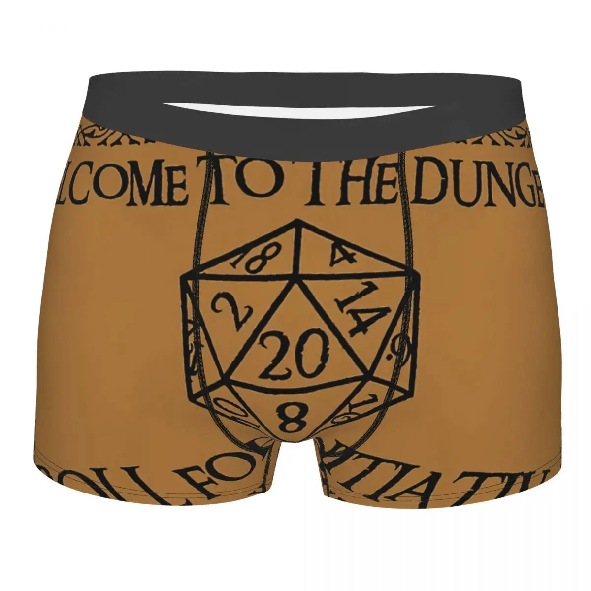 

Roll For Initiative Men Boxer Briefs DnD Game Highly Breathable Underpants High Quality Print Shorts Gift Idea