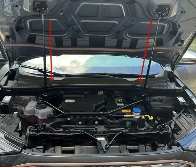 Фото Амортизаторы капота (газовые упоры) для Audi Q4 e-tron 2022-2026 №4