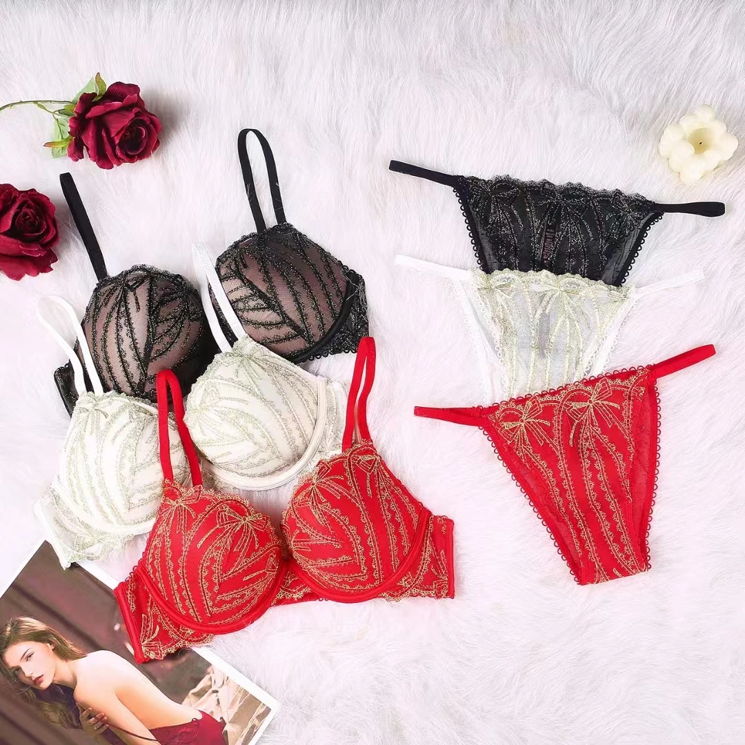 2 Piece Lingerie Set lace Bra Transparent Women Bra Set Fashion Exotic Deluxe Sexy Packag 2022 Sexy Underwear Lace Embroidery Br
