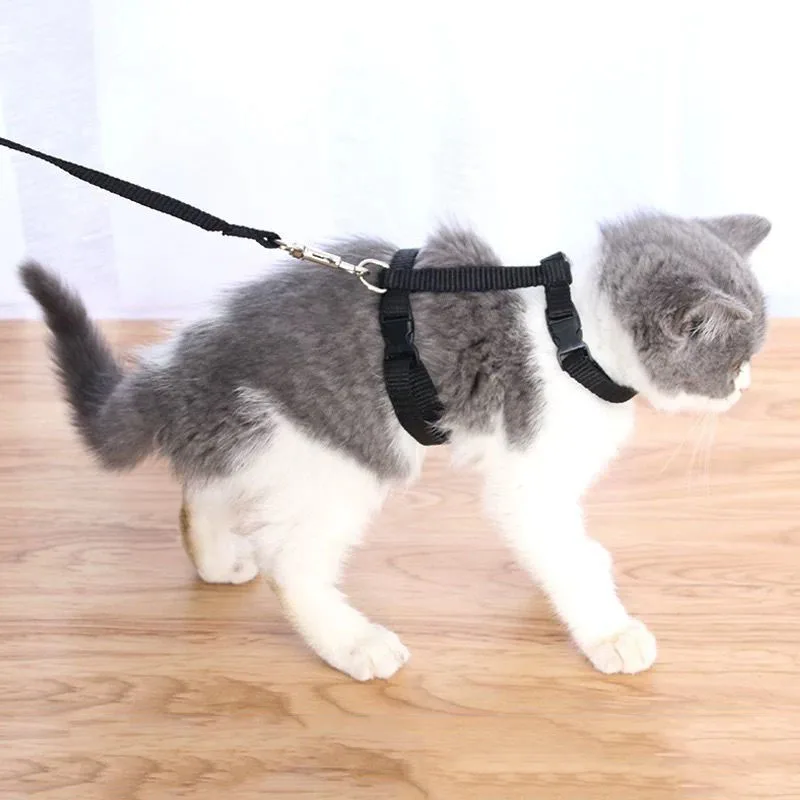 

Pet Cat Harness and Leash Set Escape Proof Adjustable Kitten Harness for Large Small Cats Lightweight Soft Puppy Dog Cat Collar