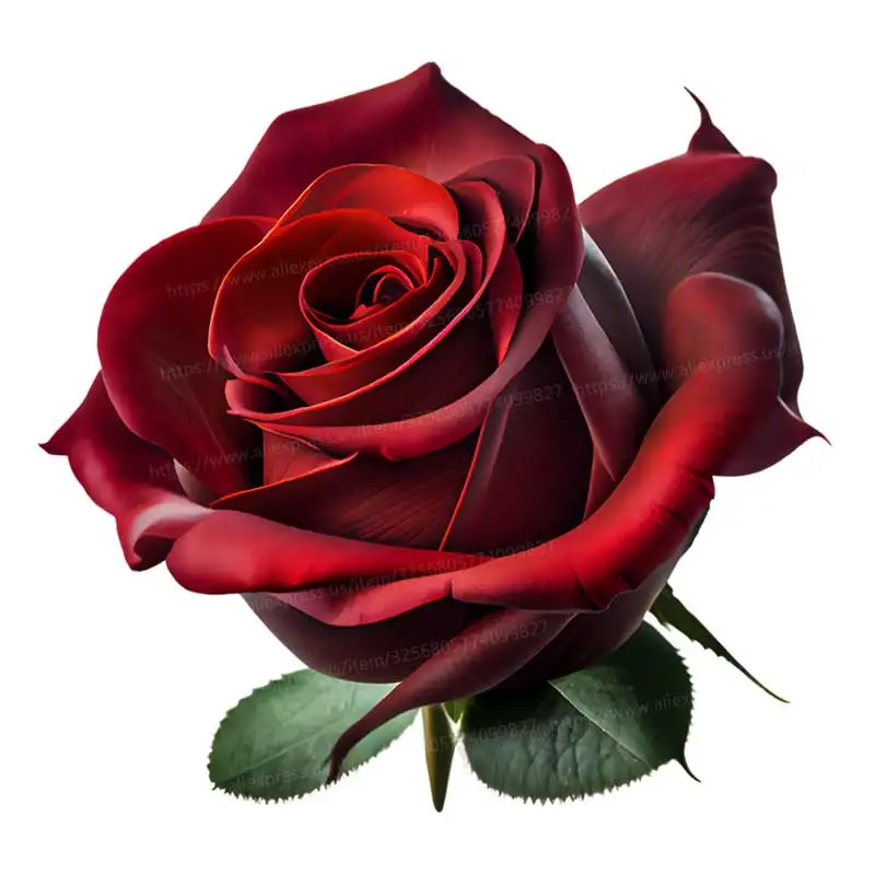 

Водонепроницаемые наклейки на стену с розами S574