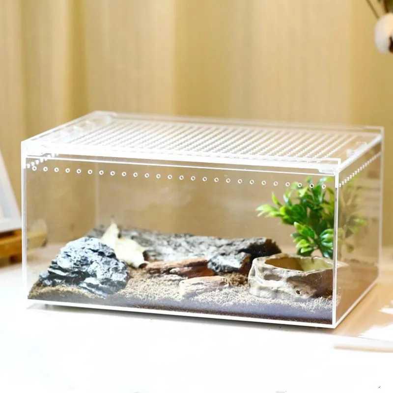 

Acrylic Reptile Feeding Box Insect Box Praying Mantis Reptile Home Insect Cage Reptile Terrariums Reptile Feeding Box