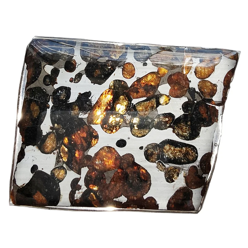 

Perfect Sericho Kenya Olive Meteorite Sliced ​​Olive Meteorite Specimen Natural Meteorite Material Collection