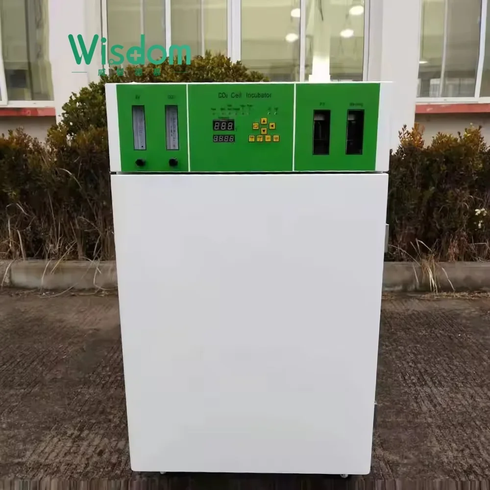 Фото INC-W-C80 Дигинальный инкубатор CO2 с ЖК-дисплеем для клеточных культур. с низкой ценой, быстрая доставка №4