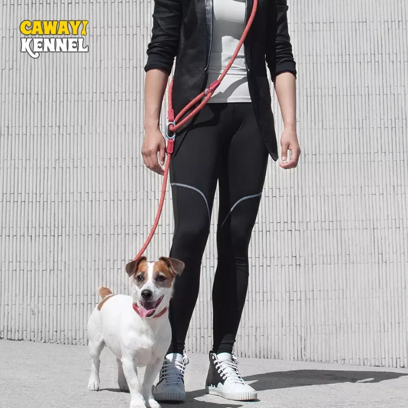

2023NEW CAWAYI KENNEL Reflective Nylon Leashes Pet Dogs Chain Traction Rope Leads for Running Free Hands Rope Chain for Small La