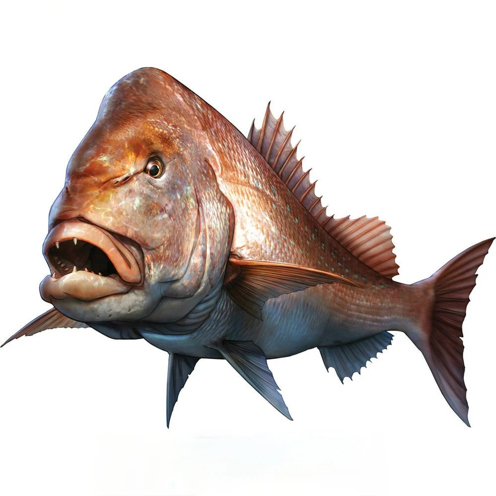 

Stickers on Car Decals Products Motorcycle Accessories Accessories Sunscreen and Waterproof Sticker Cover Scratches Car Cute,