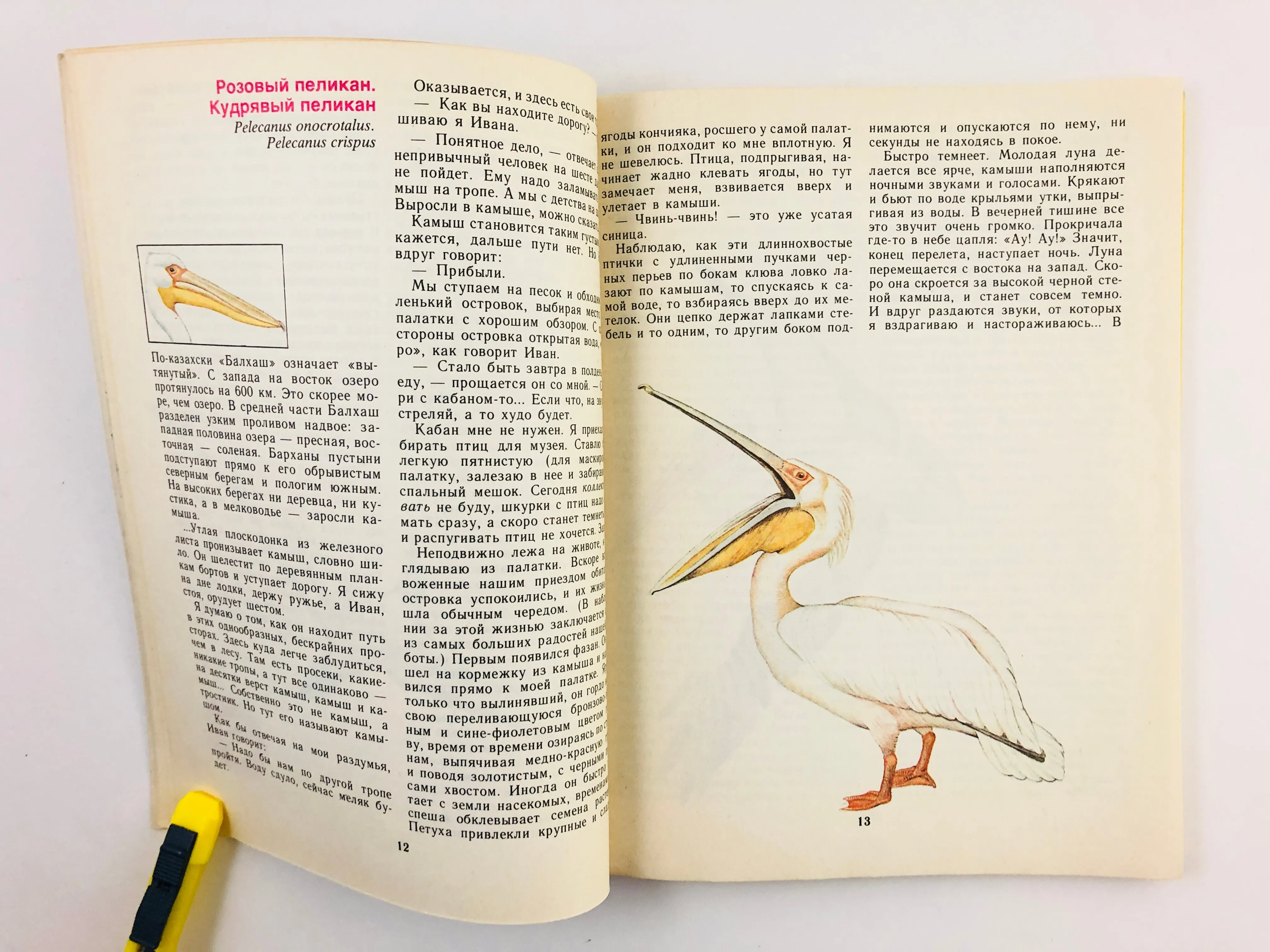 Содержание птиц книги