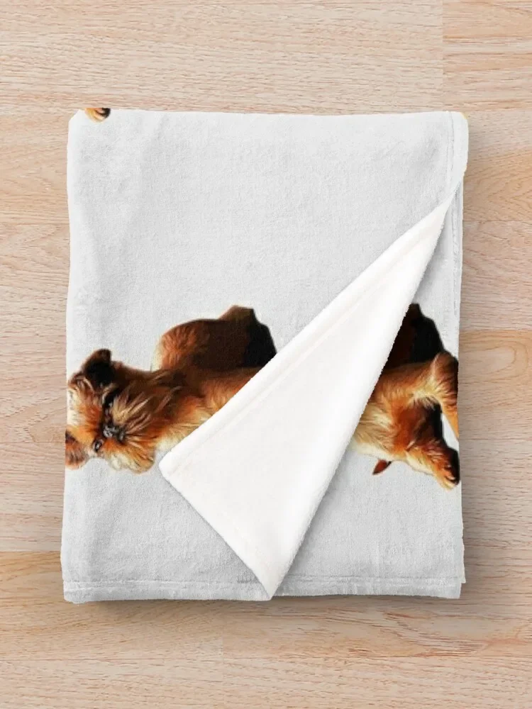 Брюссель Грифон великолепная собака искусство! Одеяло для кровати модные одеяла