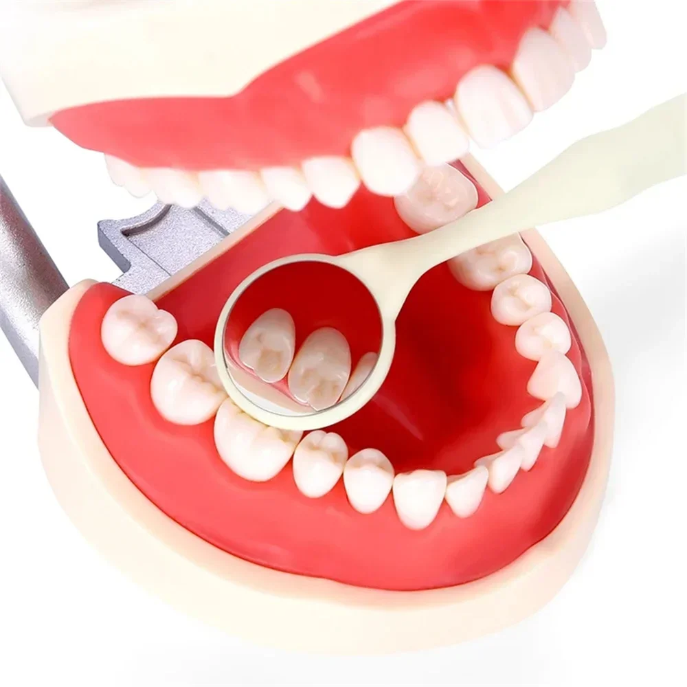 10 шт./коробка двусторонние стоматологические отражатели с ручкой