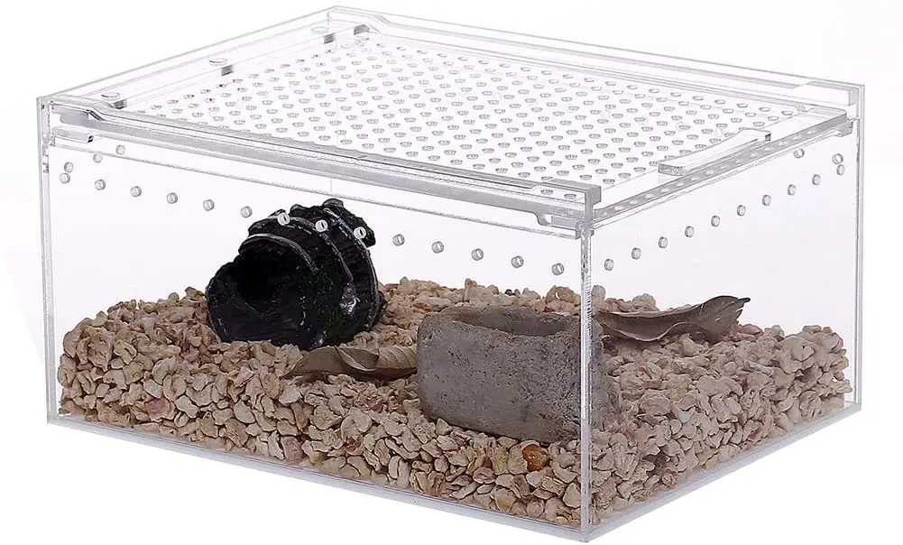 

Акриловый чехол для рептилий, плоский длинный прозрачный Футляр для фотографий, клетка для террариума, слинг для тарантула, Скорпиона, изоп...