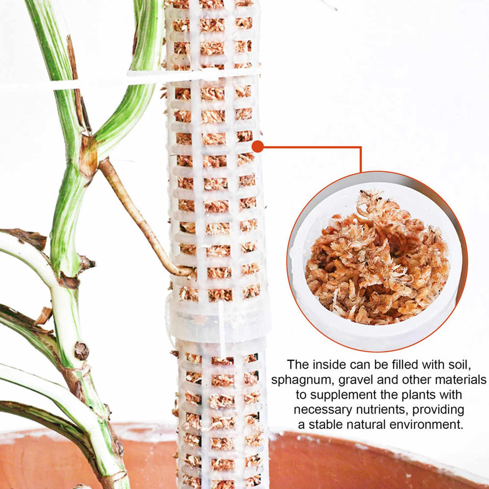 

1PC Climbing Plant Pole Sphagnum Moss Sticks Plant Growing Support Water-retaining Fertilizer-rich Coconut Palm Stick