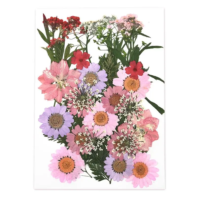 

Натуральные сушеные цветы для декорирования