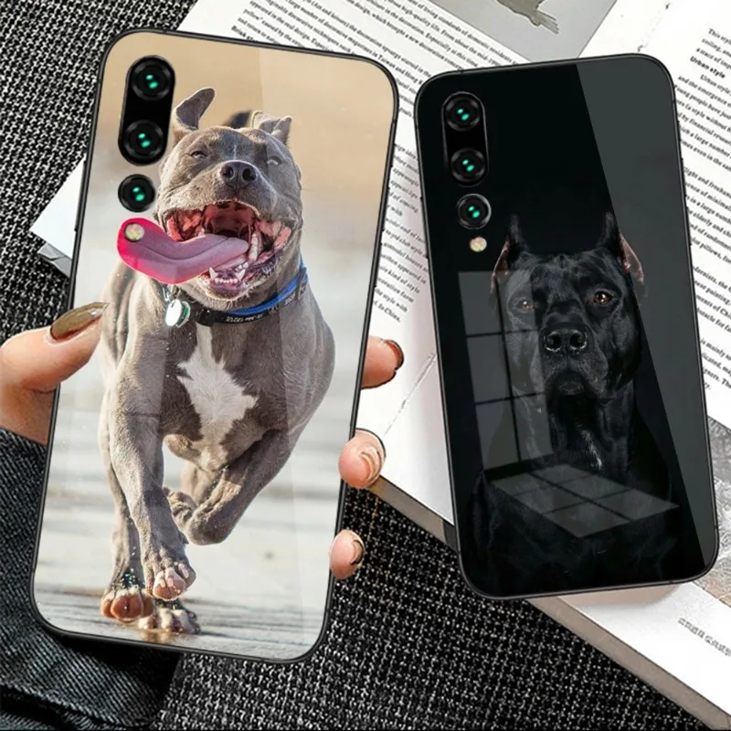 

Чехол Pitbull Dog для телефона Huawei P50 P40 P30 P20 Pro Mate 40 30 20 Pro Nova 9 8 7 PC, стеклянный чехол для телефона