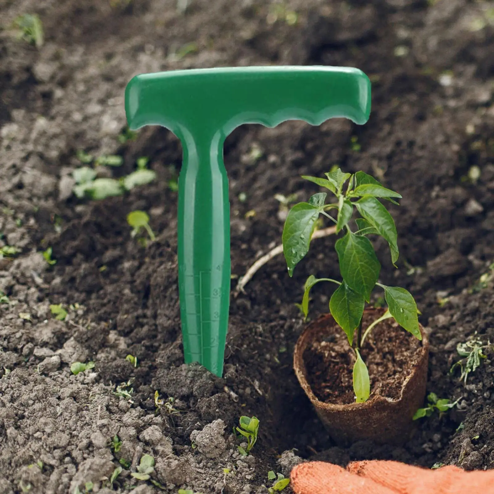 Dibber Sow Puncher PP Seeder for Patio Flowers Vegetable