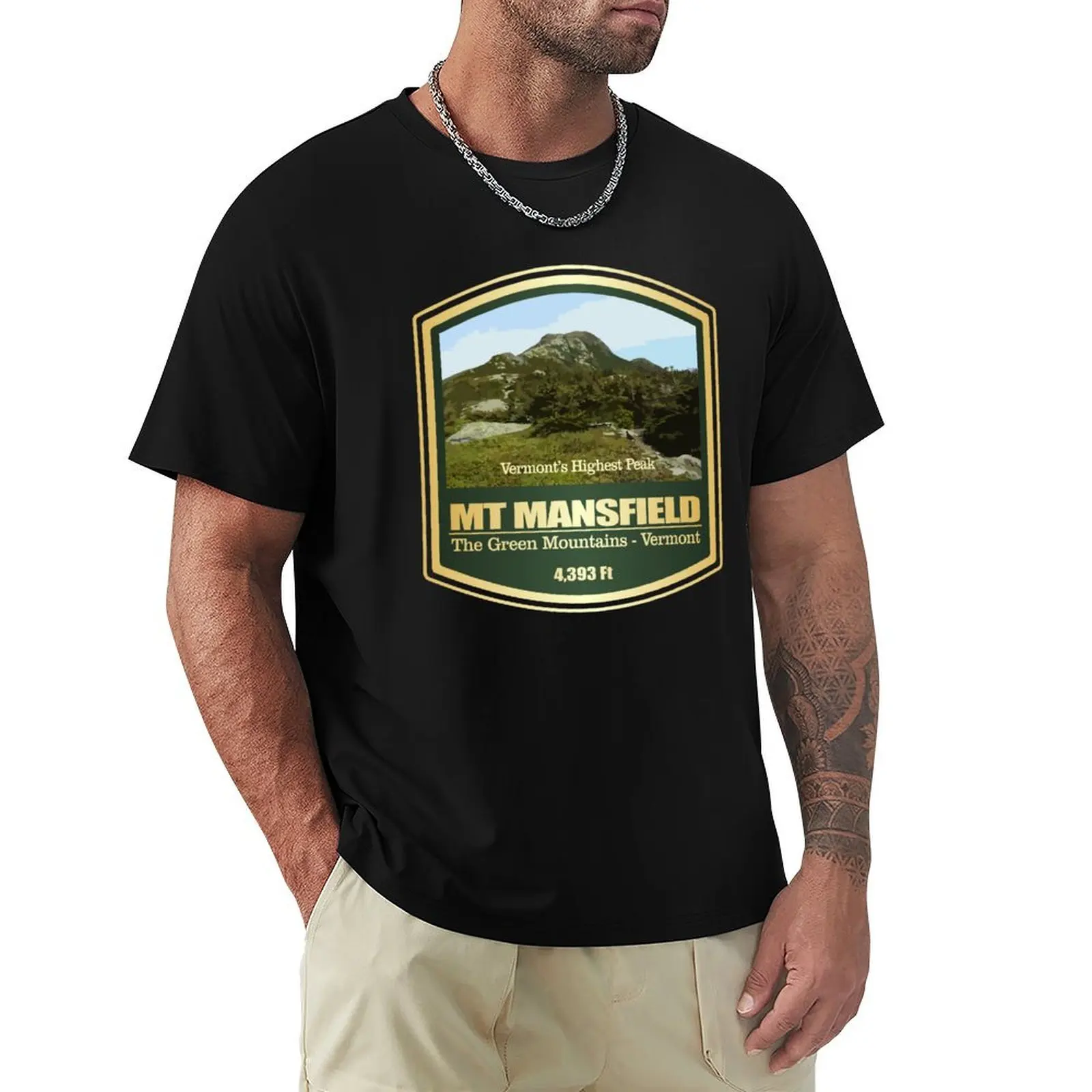 Фото Футболка Mount Mansfield (PF) из мягкого хлопка с короткими рукавами, повседневная №1