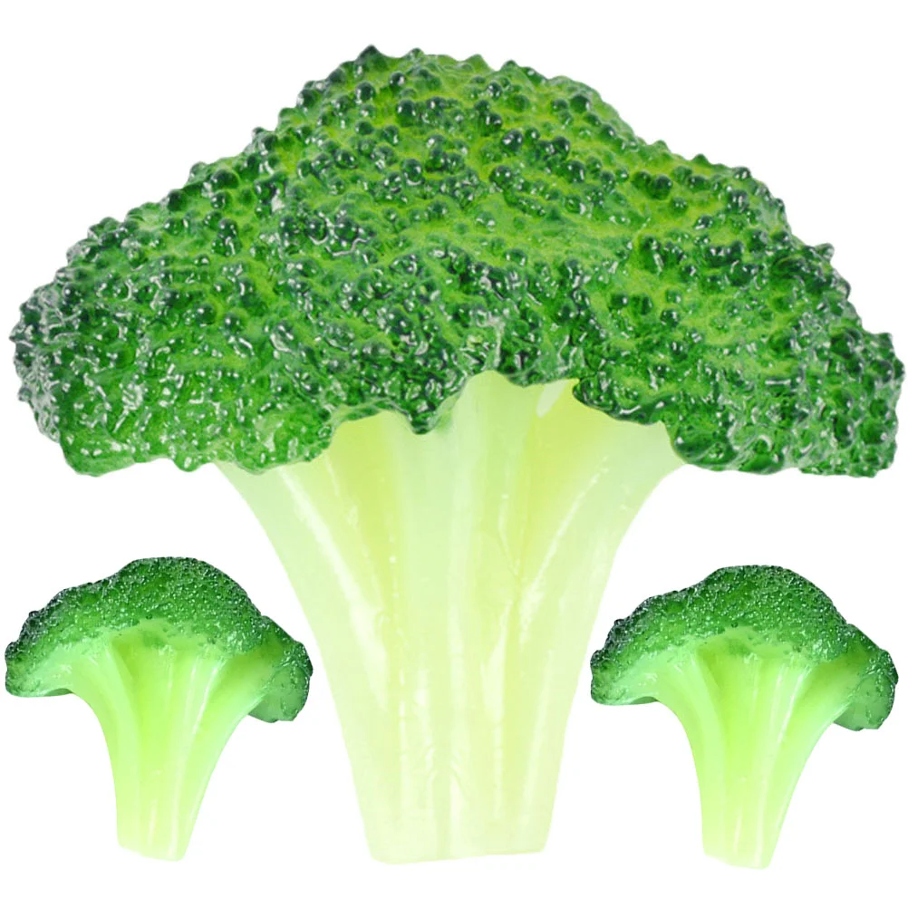

Vegetable Broccoli Artificial Fake Model Lifelike Simulation False Decoration Faux Realistic Fruit Kitchen Decorations