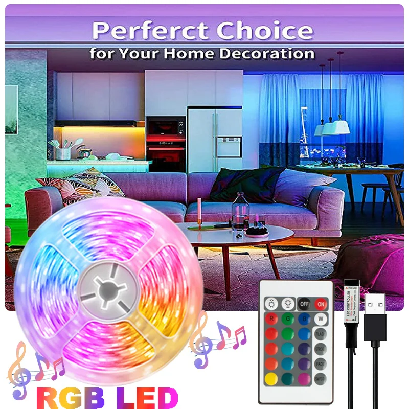 

Infrared Control LED Strip Lights DC5V Room Decor Neon Ice Lights SMD5050 Tape for TV Background USB LED Lights with 24 Keys