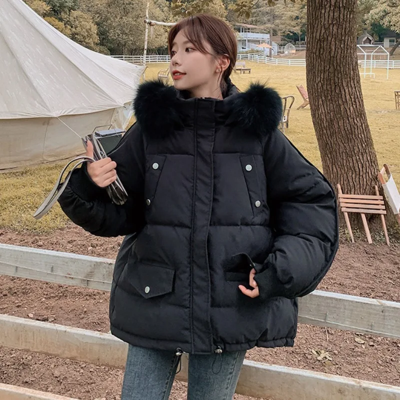 2024 Autumn and Winter New Western Sle Down Cotton Clothes BF Internet Celebri Ins Hong Kong Thickening ... |