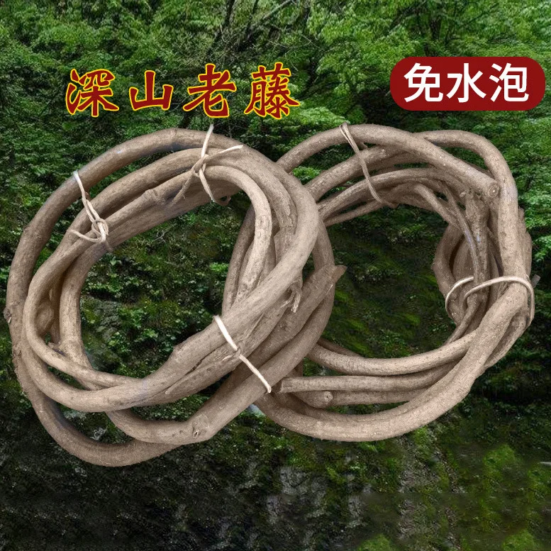 Купить Длинные живые ветви дерева, 500-600 см, Ротанговые зеленые листья, цветок, украшение на стену, потолок, настоящая Виноградная ветка, мокрые опра...