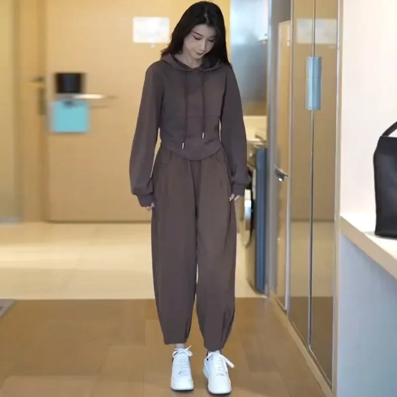 Casual Sports Suit Women's 2024 Autumn New Elegant Hooded Sweatshirt And Ninemore Harem Pants Age-Reducing 2-Piece Set