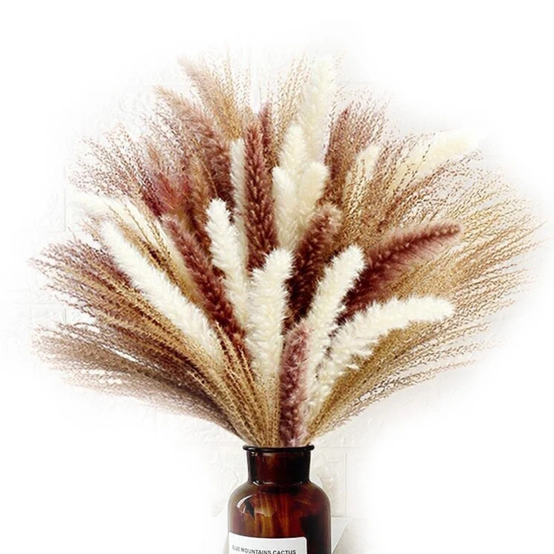 

66 Pcs Natural Dried Pampas Grass With 3 Colors Fluffy Swinging DIY Boho Plant Small Flower Bouquet Decorative