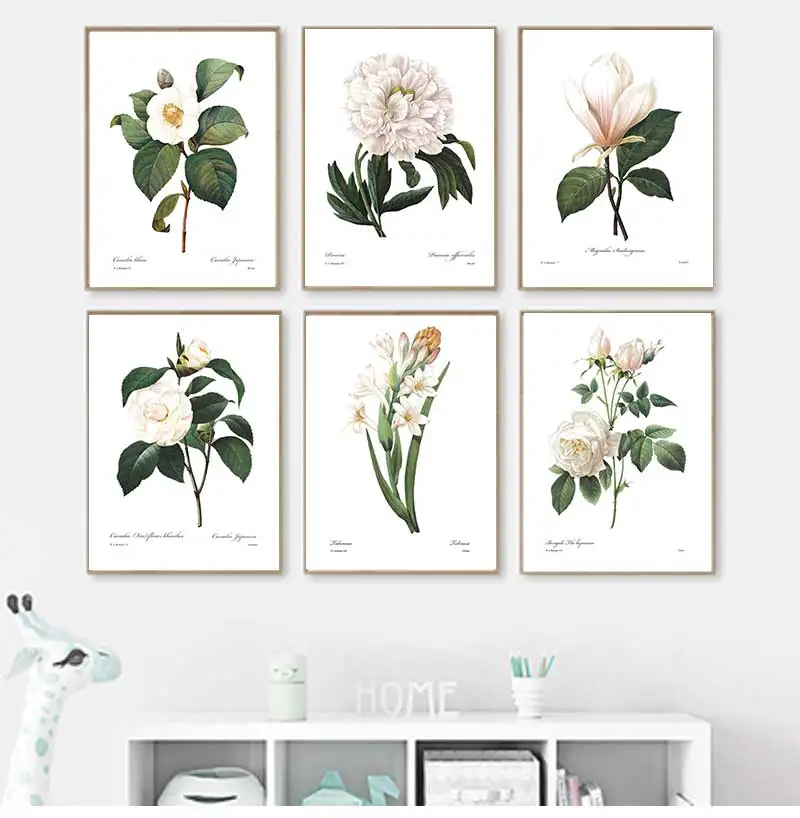 Постеры и принты розовых белых растений в цветочек ботаническая Картина на