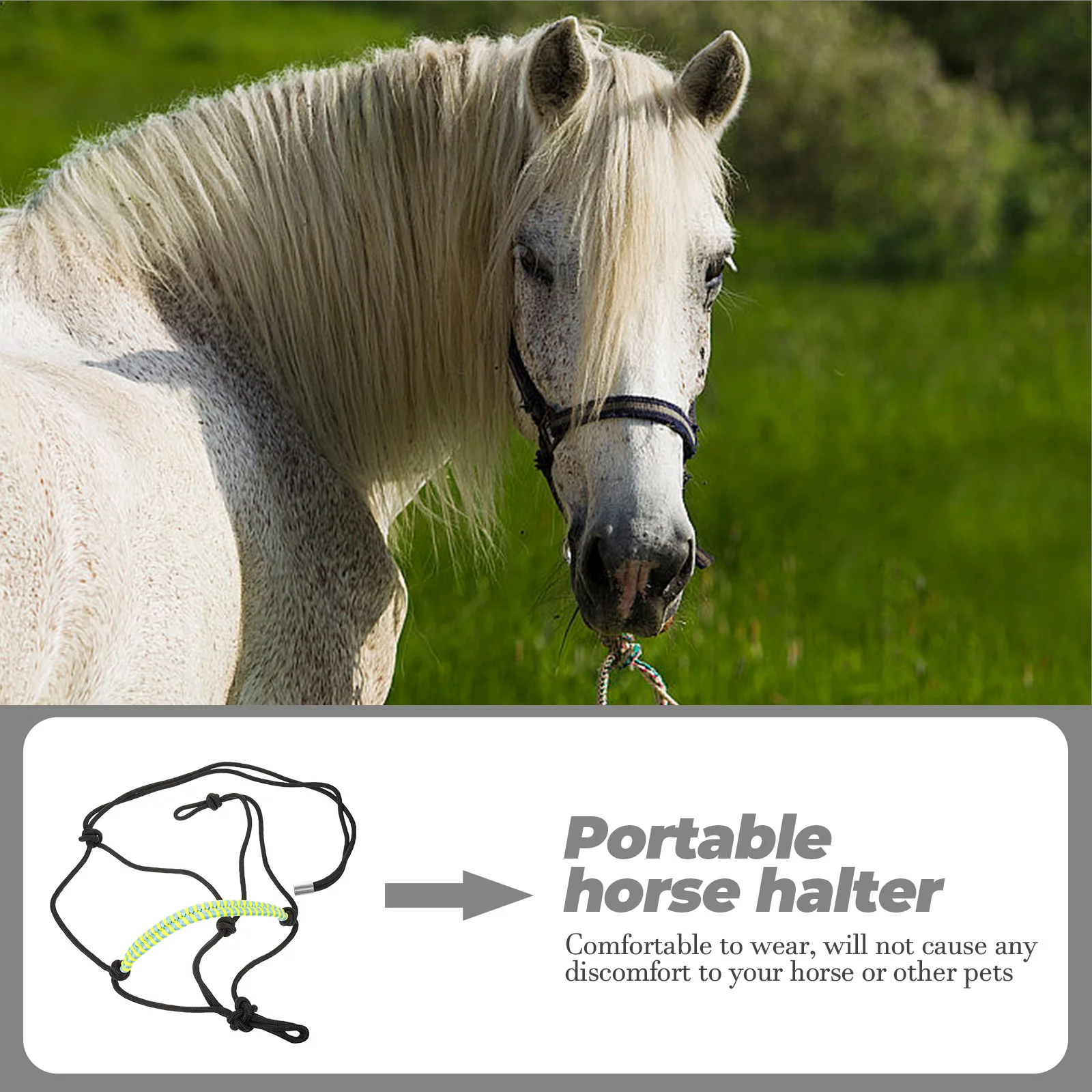 Рисунок 5 - Веревка для лошадей профессиональная