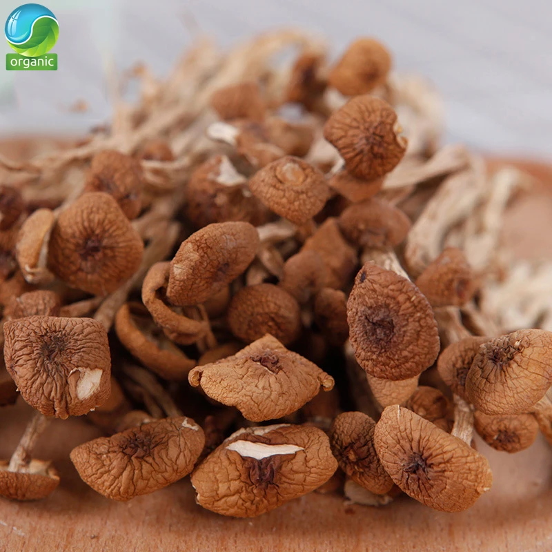 

Dried Mushrooms;Tea Tree Mushrooms; Fresh and Tender;ChaShuGu