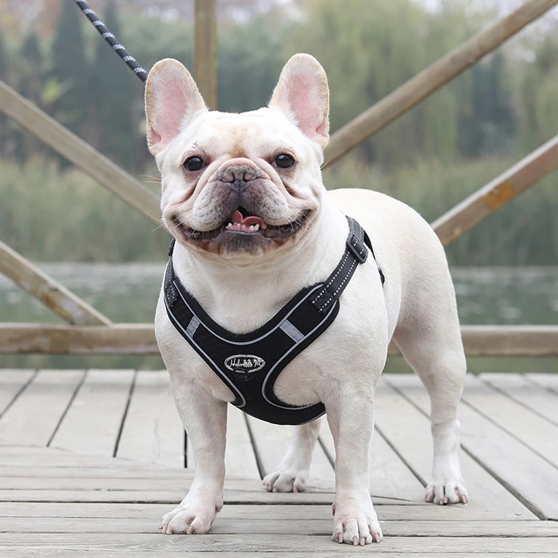

Dog Harness No Pull Dog Harnesses Vest for Medium Small Medium Dogs Puppy Pets Harness Leash Set Breathable French Bulldog Pug