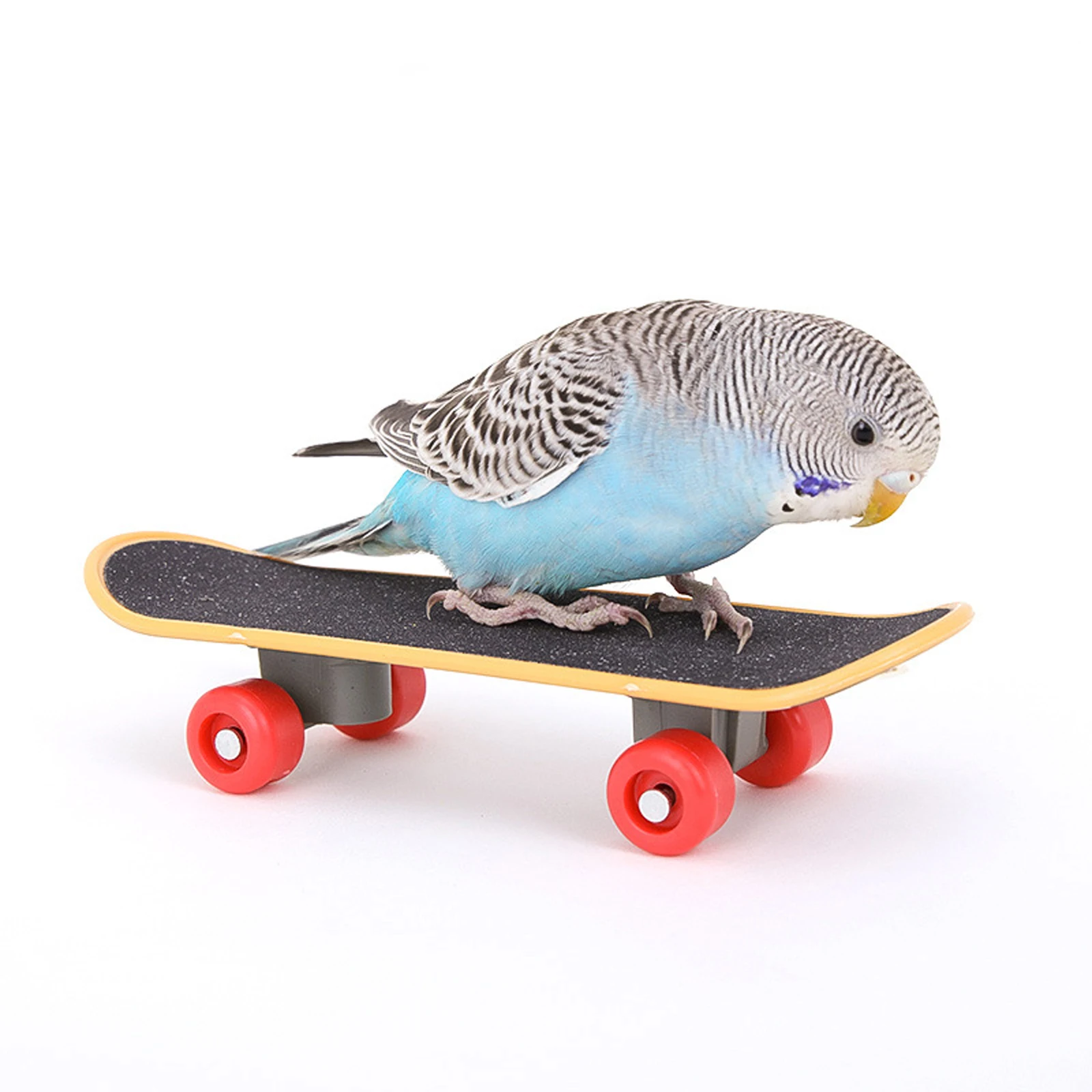 

1PC Random Color Parrot Mountain Skateboard Training Puzzle Toys