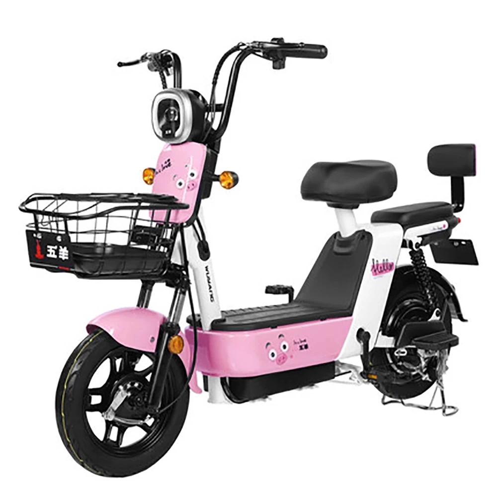 

350W 48V20AH Electric Motorcycle with Lithium Battery Range 65KM