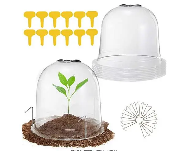 

6 Pack Reusable Plastic Mini Greenhouse Set Garden Cloche Dome Frost Guard Freeze Protection for Seedling Outdoor mini mini