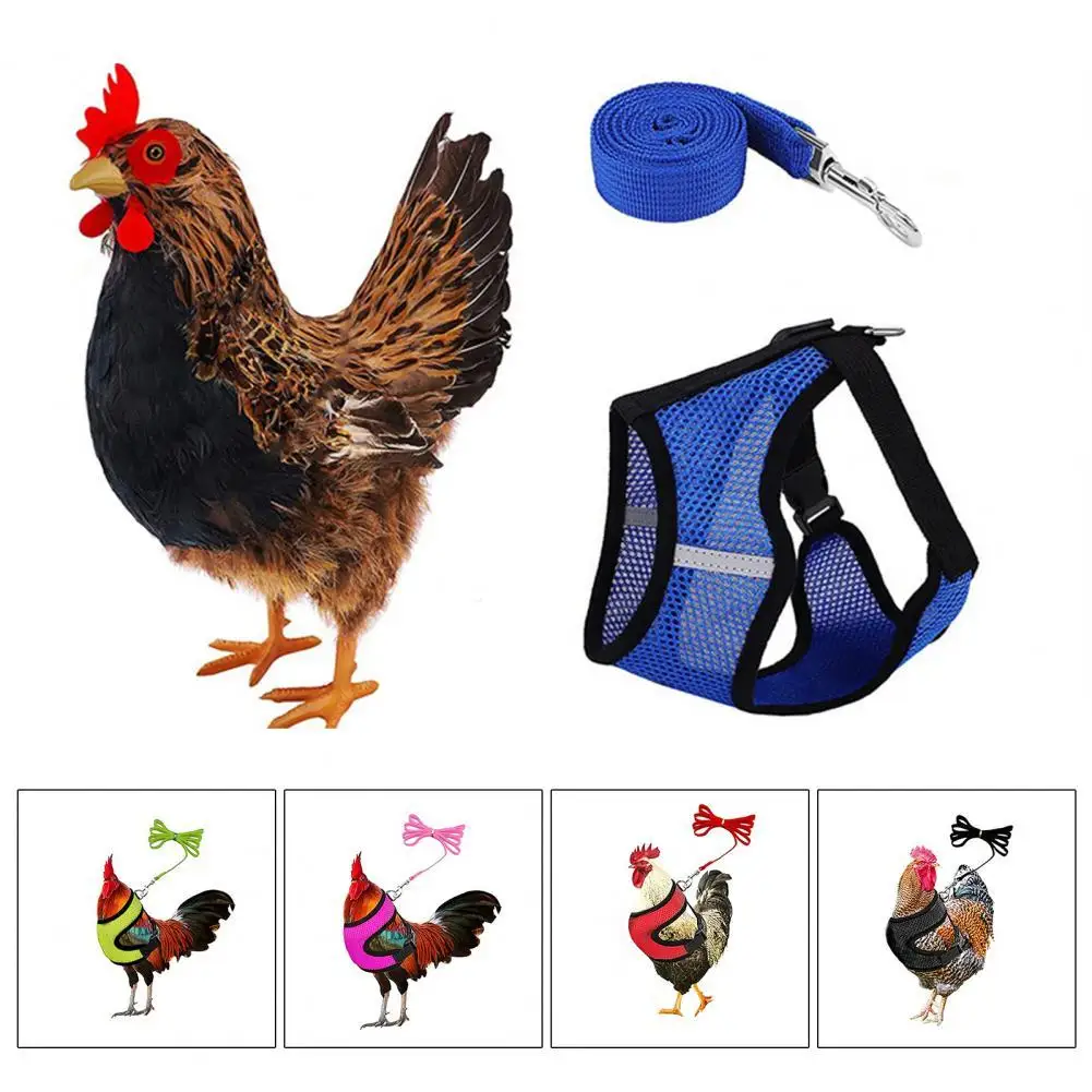 

1 Set Duck Leash Stylish Loose Mesh Design Outdoor Chicken Vest Harness for Outing Chicken Vest Poultry Harness