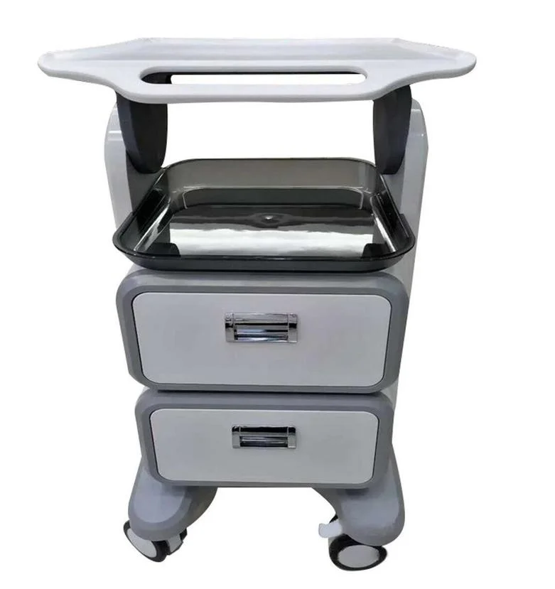 

Accessories Parts Factory Directly Supply Top Grade Trolley 4 Mobile Wheels Portable Facial Spa Desk