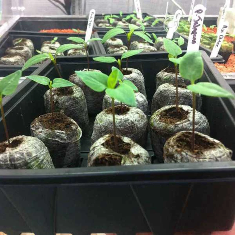 Профессиональные торфяные гранулы 150 шт. стартовый блок почвы заглушки для