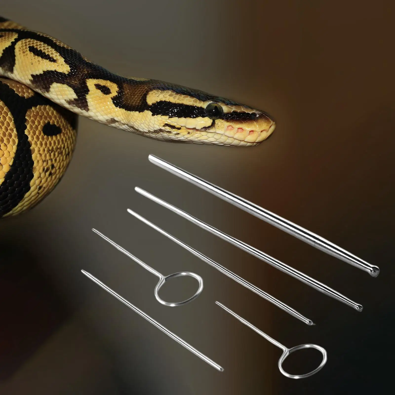 

Reptile Snake Gender Detection Tool for Different Size Snakes Assorted Color