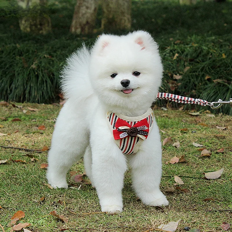 

Small Dog Pet Harness and Leash Set Striped Cozy Breathable Adjustable Cute Bow Puppy Leash Pet Vest Clothes Dog Accessories D