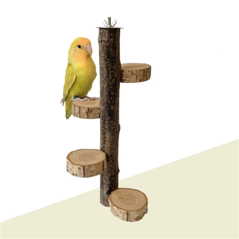 

Настольная подставка для обучения птиц, портативный легкий попугай, окунь с вращающейся платформой для мелких и средних попугаев