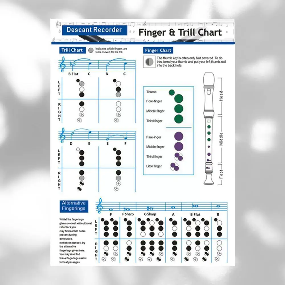 

Double Side Clarinet Fingering Chart Professional Coated Fingering Guide Beginner Practice Accessory Chart Chord Paper Clar I7w0