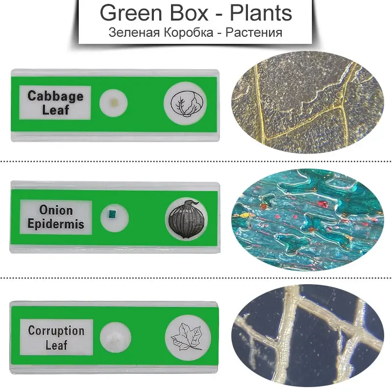 48/60 шт. биологические ранцы для детей