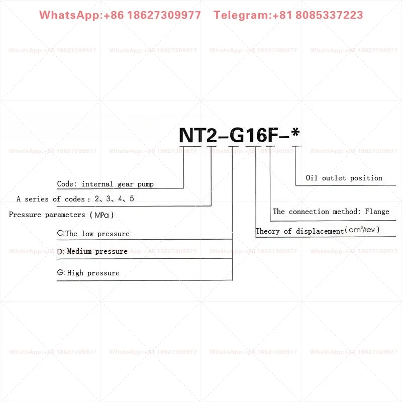 Фото Гидравлические насосы NT NT2-G10F NT2-G12F NT2-G16F для станков для резки и гибки, насосы высокого давления №2