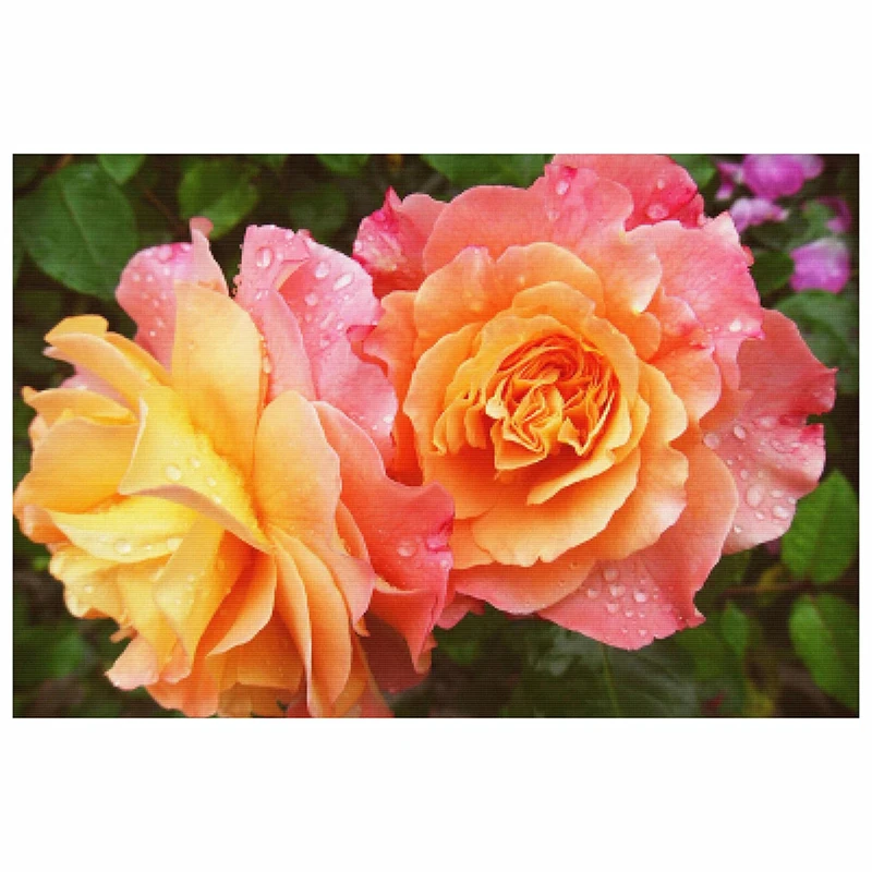 

DIY Diamond Painting Orange Rose Flower Full Square/Round Rhinestone Hobby Crafts Mosaic Handmade Gifts Cross Stitch Home Decor