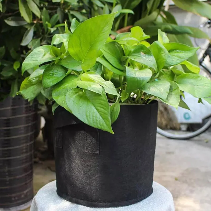 Рюкзак для выращивания растений в доме и саду 2 галлона |