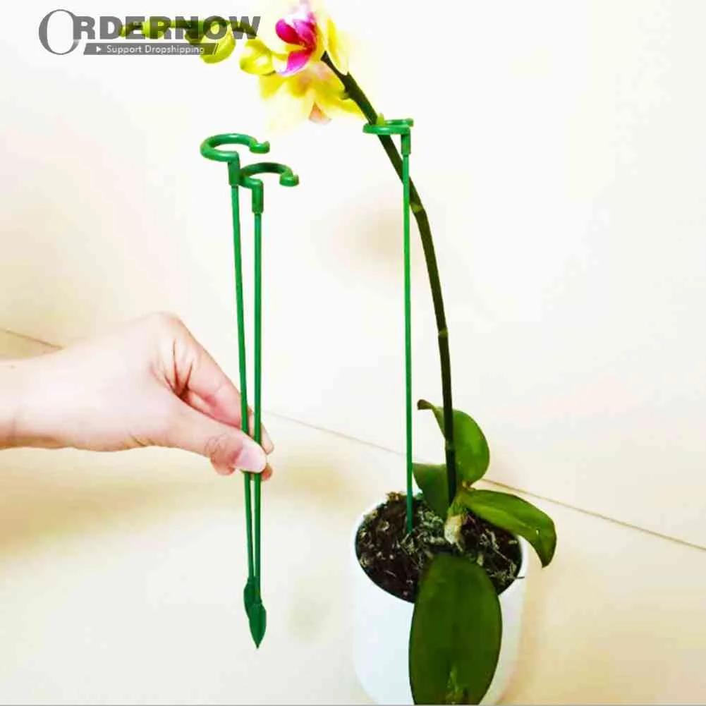 

10 шт., держатель для защиты растений, защита от размещения цветов, фиксирующий инструмент, без ржавчины, держатель для цветов, кронштейн для ...