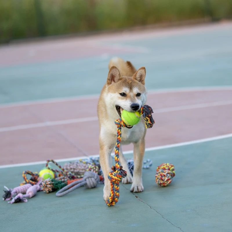 

Dog Toy Golden Retriever Bite-resistant Molar Medium Large Dog Rope Knot Dog Bite Rope Labrador Method Pet Supplies