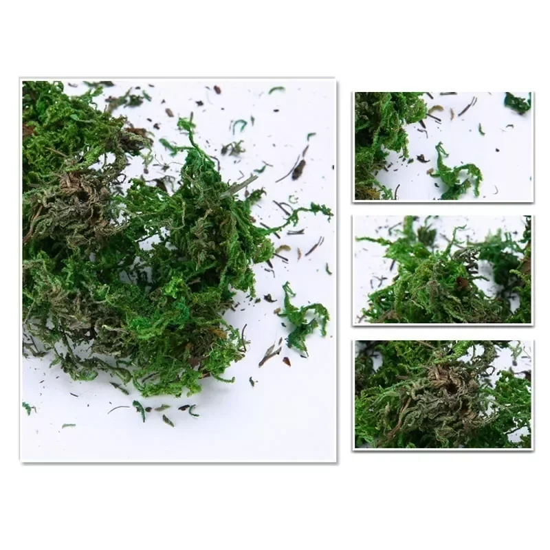 

Artificial Dried Moss Lining Decor Flower Hanging Baskets Gardening Wedding Party Diy Decoration Moss Stabilized Rattan