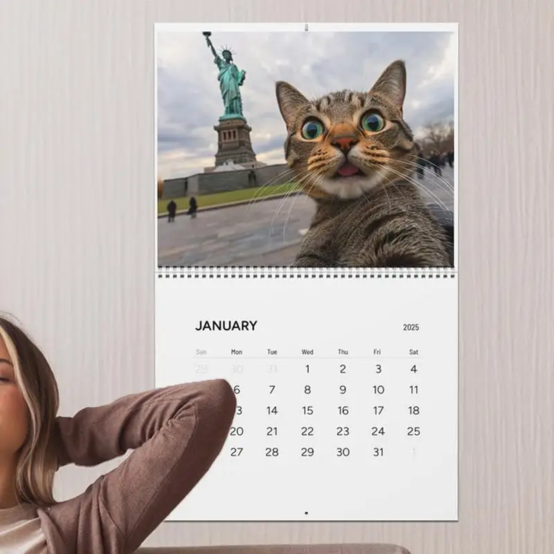 Cat Selfies Calendar 2025 Большой 12-месячный настенный календарь на 11x8 5 дюймов Humor Prank