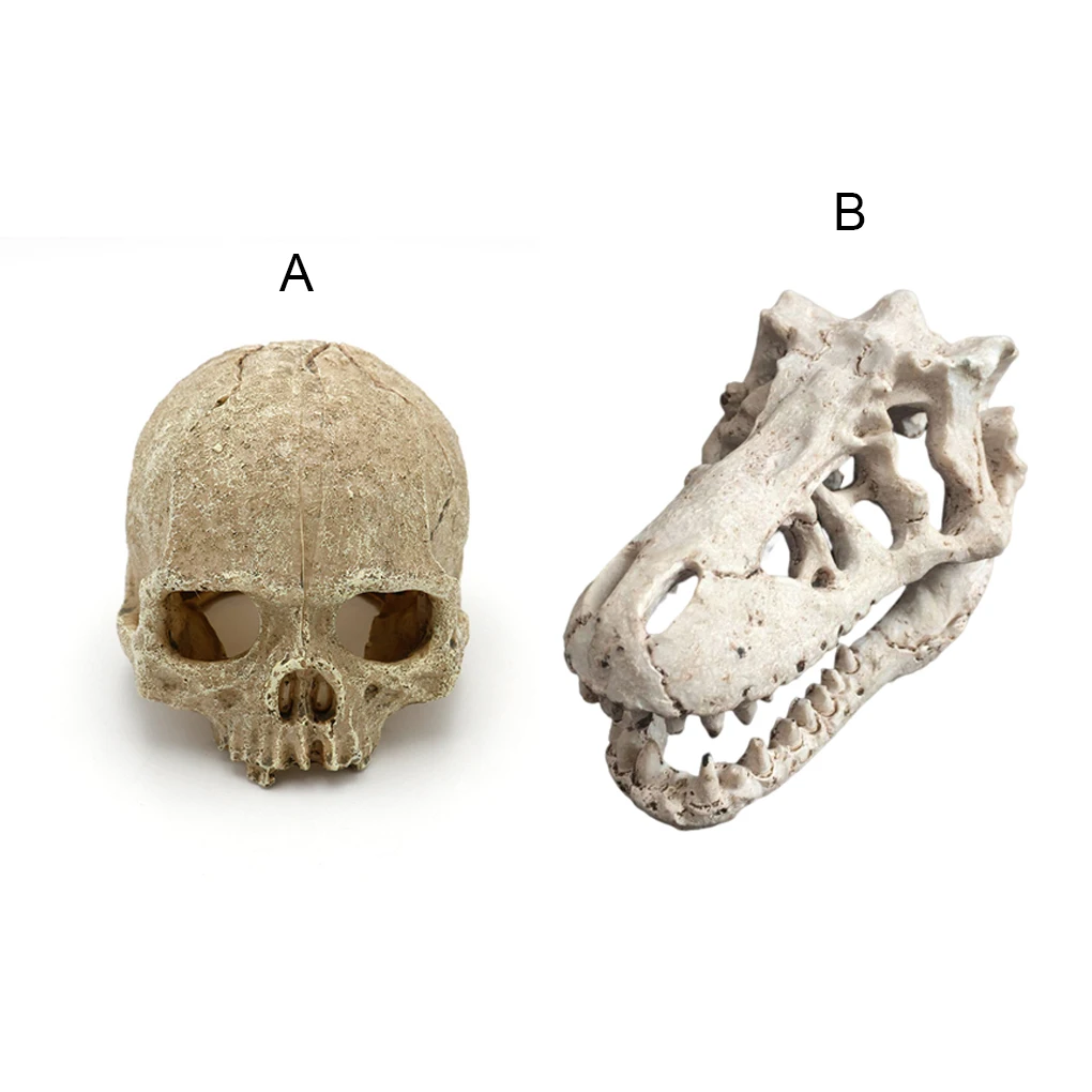 

Resin Dinosaur Skull Aquarium Decoration Terrarium Reptile Fish Tank Ornament