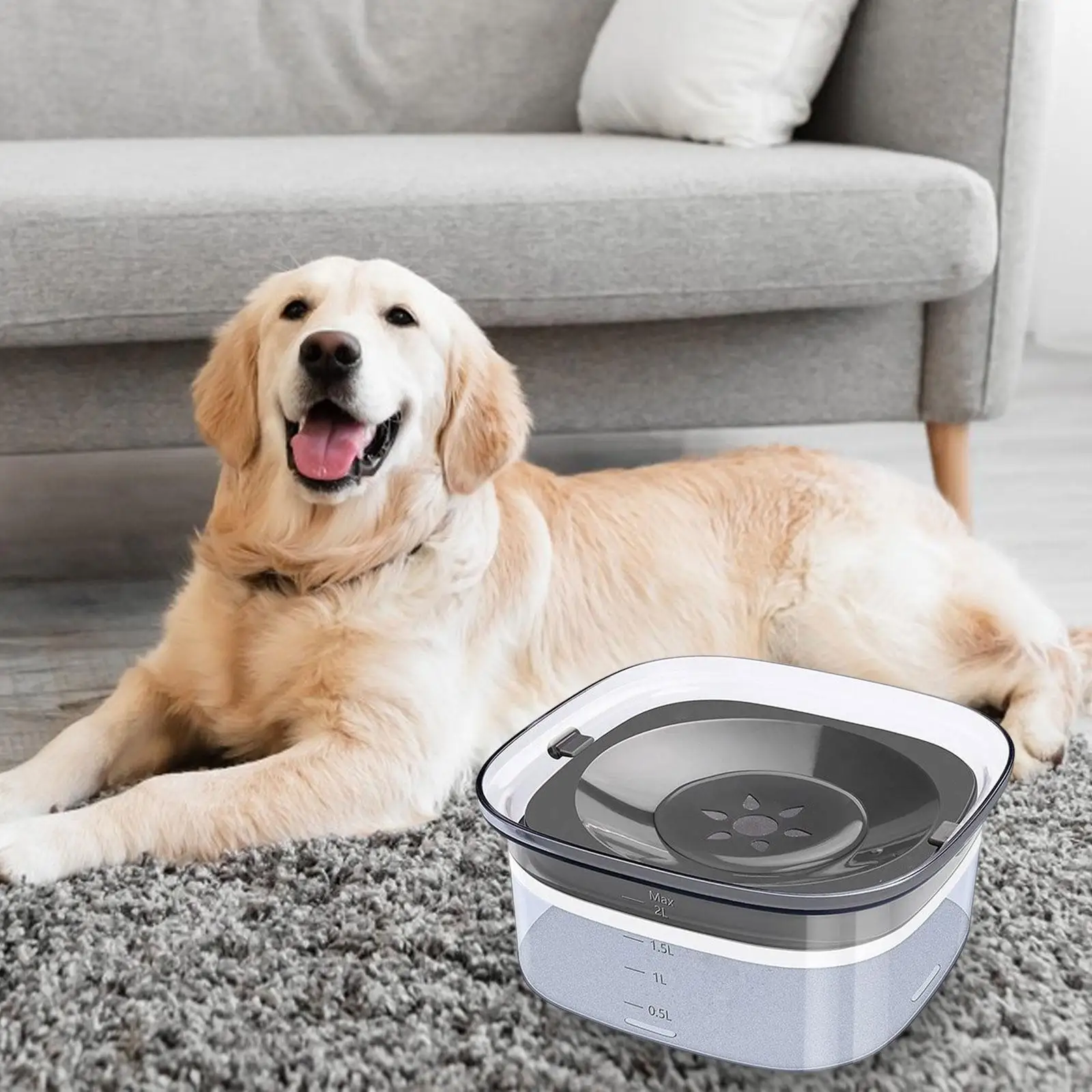 

Dog Water Bowl for Medium and Large Dogs Spillproof Travel No Spill Dog Dish Clear