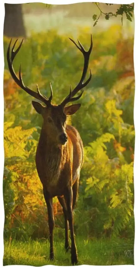

Face Towel Red Deer Stag in Autumn Woodland Forest Bright Sunshine Soft Bath Towel Absorbent Hand Towels Multipurpose for Bathro